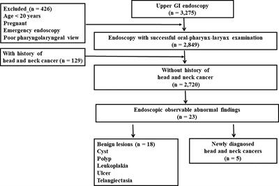 Gastrointestinal Endoscopy Performed by Gastroenterologists: Opportunistic Screening Strategy for Newly Diagnosed Head and Neck Cancers